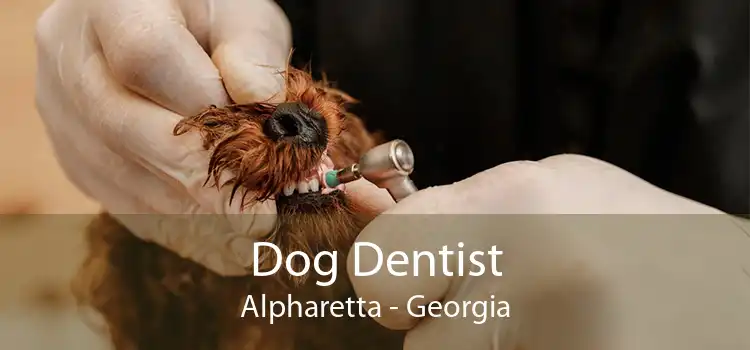 Dog Dentist Alpharetta - Georgia