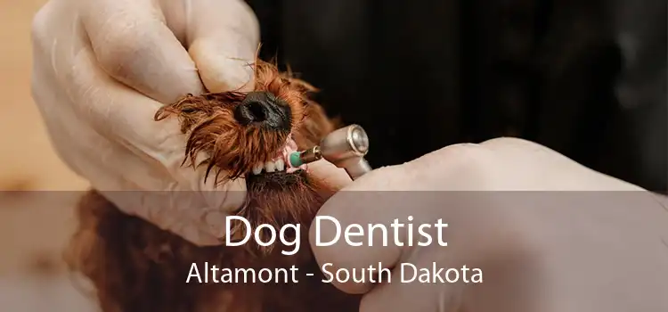 Dog Dentist Altamont - South Dakota