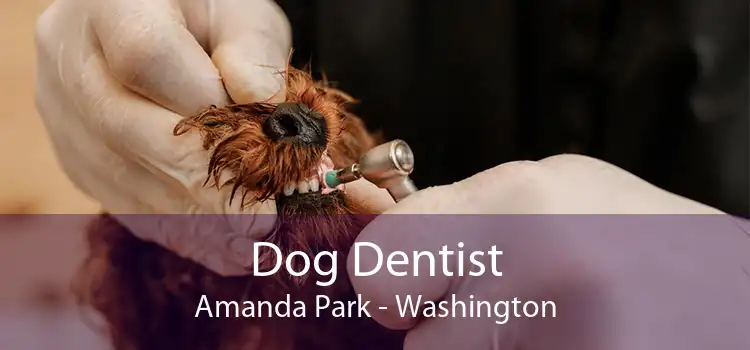 Dog Dentist Amanda Park - Washington