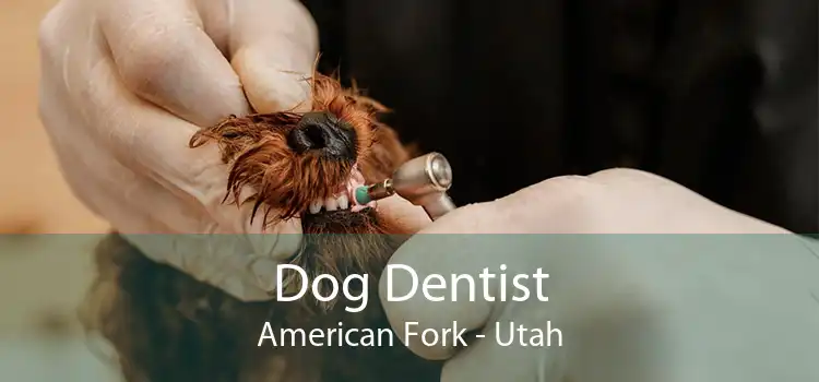 Dog Dentist American Fork - Utah