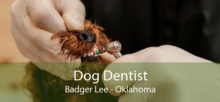 Dog Dentist Badger Lee - Oklahoma