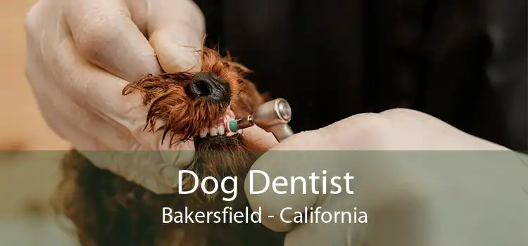 Dog Dentist Bakersfield - California