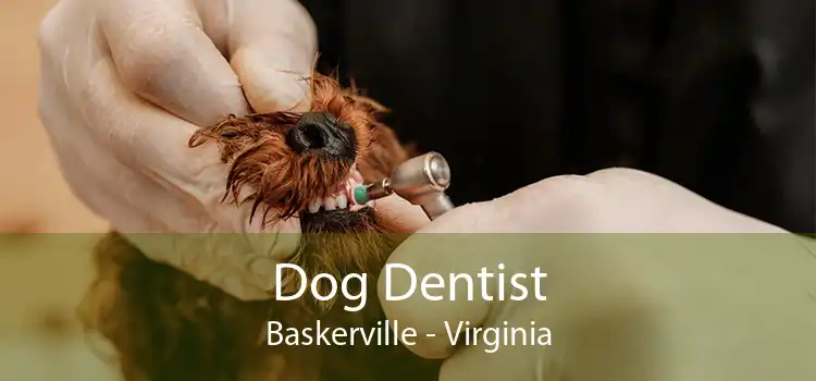 Dog Dentist Baskerville - Virginia