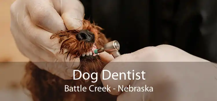 Dog Dentist Battle Creek - Nebraska