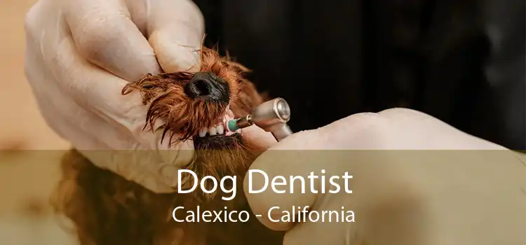 Dog Dentist Calexico - California