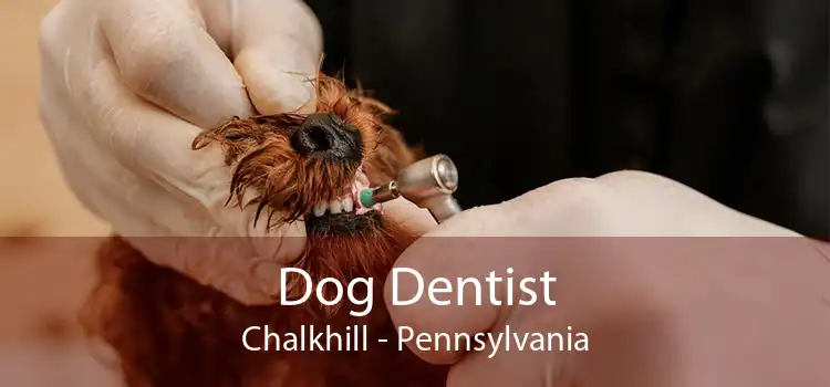 Dog Dentist Chalkhill - Pennsylvania