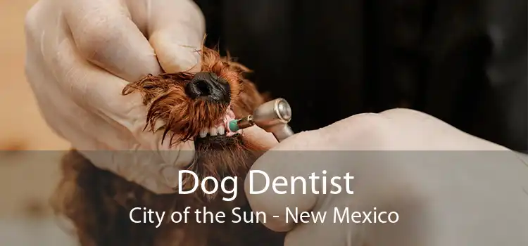 Dog Dentist City of the Sun - New Mexico