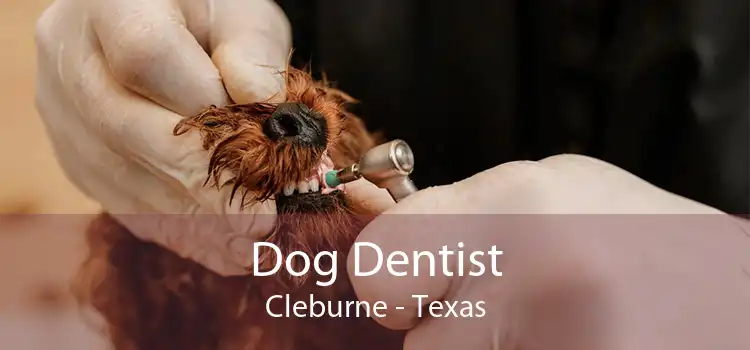 Dog Dentist Cleburne - Texas