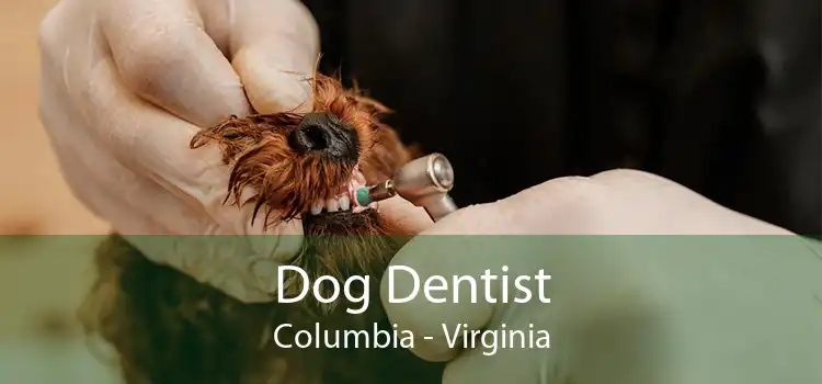 Dog Dentist Columbia - Virginia