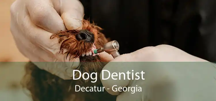 Dog Dentist Decatur - Georgia