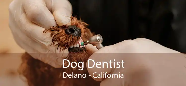 Dog Dentist Delano - California