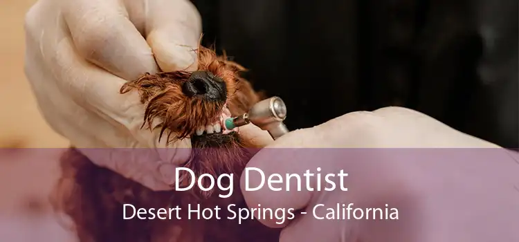 Dog Dentist Desert Hot Springs - California