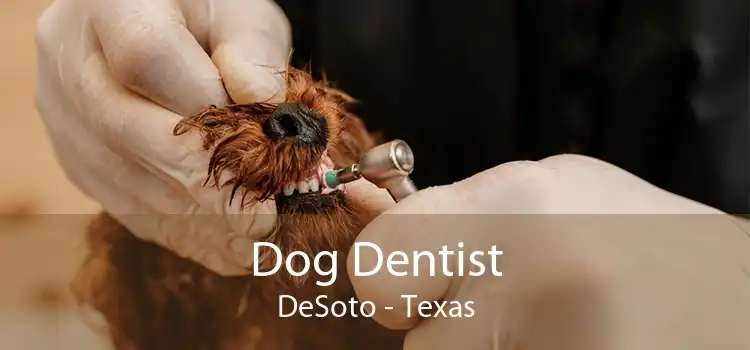 Dog Dentist DeSoto - Texas