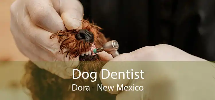Dog Dentist Dora - New Mexico