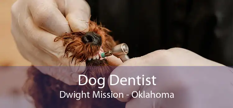 Dog Dentist Dwight Mission - Oklahoma