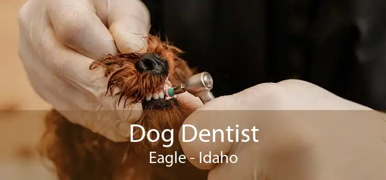 Dog Dentist Eagle - Idaho