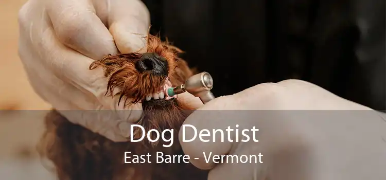 Dog Dentist East Barre - Vermont