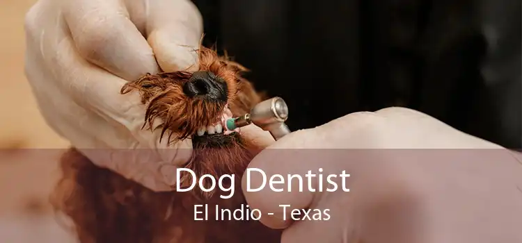 Dog Dentist El Indio - Texas