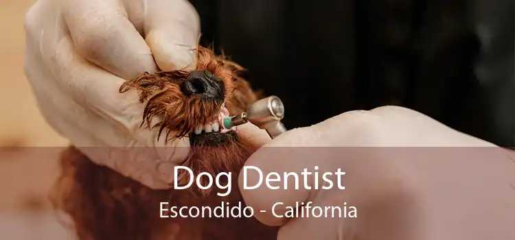 Dog Dentist Escondido - California