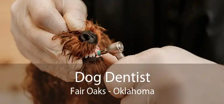 Dog Dentist Fair Oaks - Oklahoma