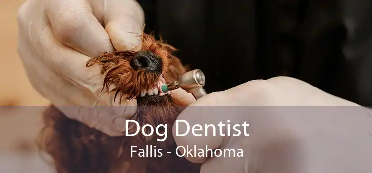 Dog Dentist Fallis - Oklahoma