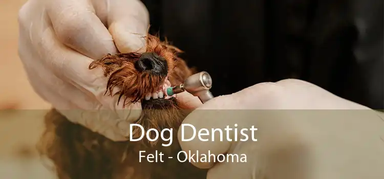 Dog Dentist Felt - Oklahoma