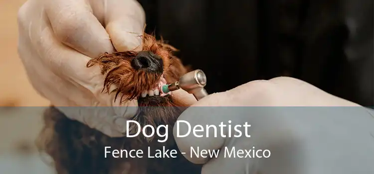 Dog Dentist Fence Lake - New Mexico