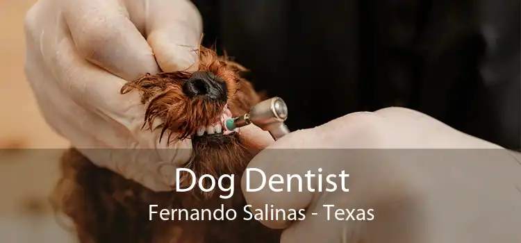 Dog Dentist Fernando Salinas - Texas
