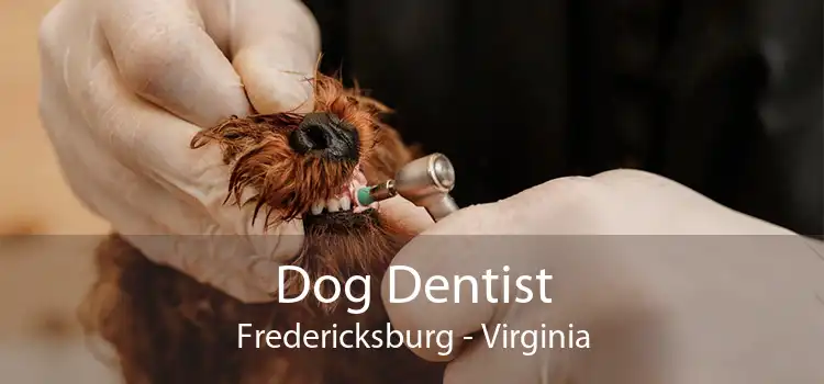 Dog Dentist Fredericksburg - Virginia