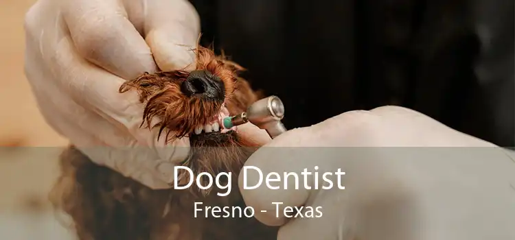 Dog Dentist Fresno - Texas