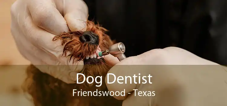 Dog Dentist Friendswood - Texas