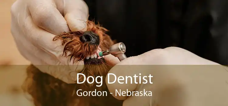 Dog Dentist Gordon - Nebraska