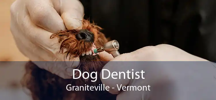Dog Dentist Graniteville - Vermont