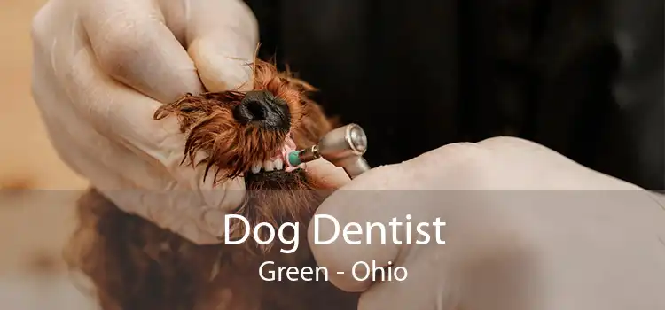 Dog Dentist Green - Ohio