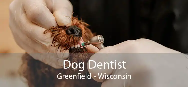 Dog Dentist Greenfield - Wisconsin