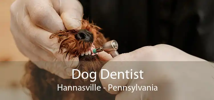 Dog Dentist Hannasville - Pennsylvania
