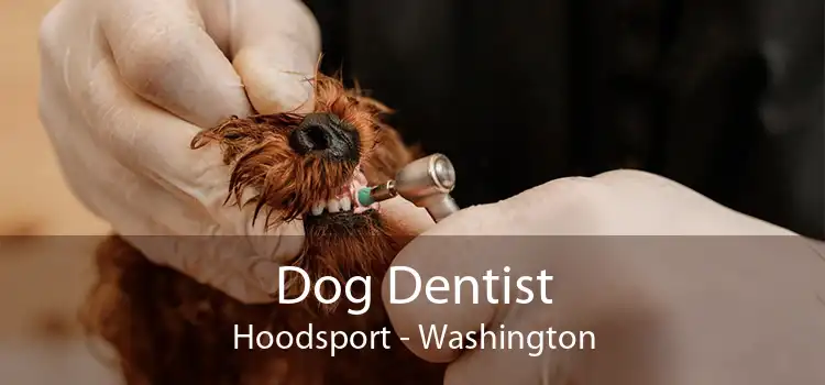 Dog Dentist Hoodsport - Washington