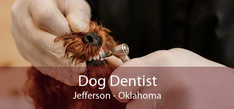 Dog Dentist Jefferson - Oklahoma