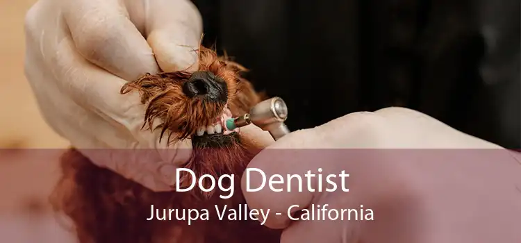 Dog Dentist Jurupa Valley - California