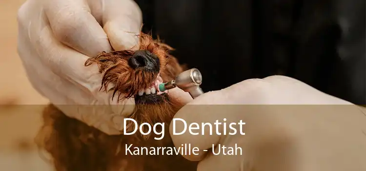 Dog Dentist Kanarraville - Utah