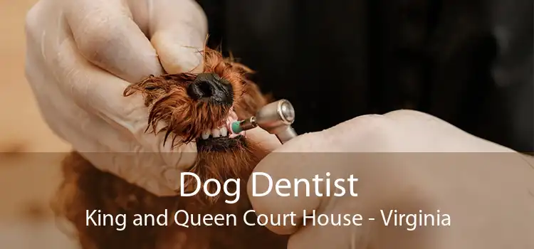Dog Dentist King and Queen Court House - Virginia