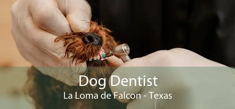 Dog Dentist La Loma de Falcon - Texas