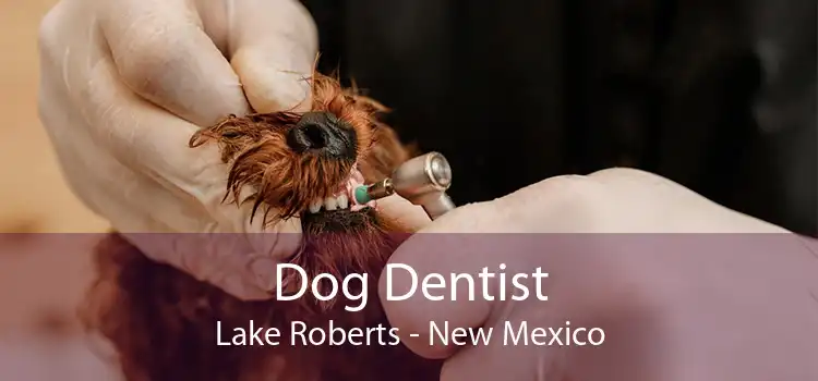 Dog Dentist Lake Roberts - New Mexico