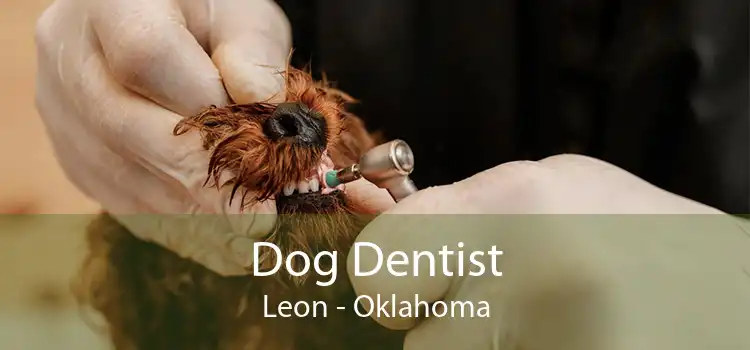 Dog Dentist Leon - Oklahoma