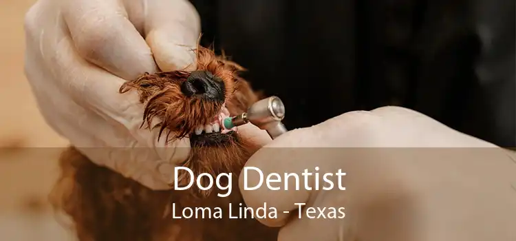 Dog Dentist Loma Linda - Texas