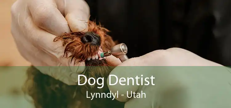 Dog Dentist Lynndyl - Utah