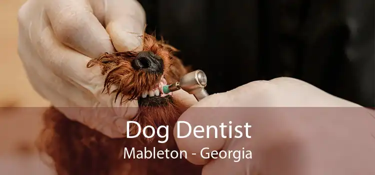 Dog Dentist Mableton - Georgia