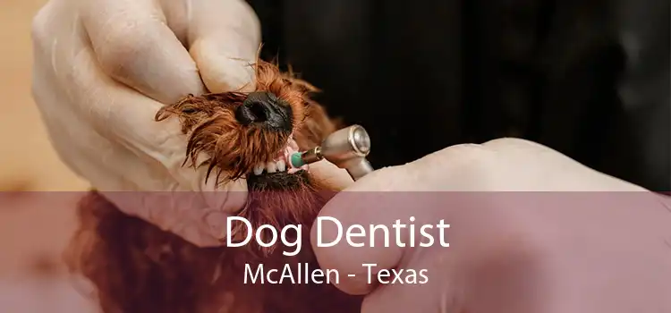 Dog Dentist McAllen - Texas