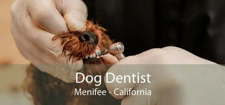 Dog Dentist Menifee - California