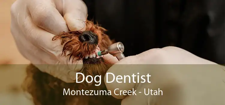 Dog Dentist Montezuma Creek - Utah